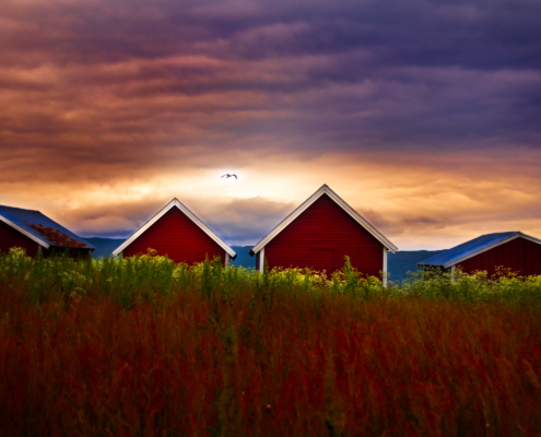 Kystkultur - artwork by selmer.as - Boat houses in Northern Norway