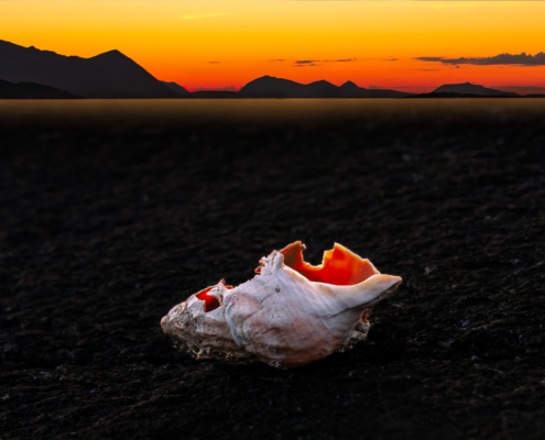 Broken dreams - artwork by selmer.as - A broken conch in sunset